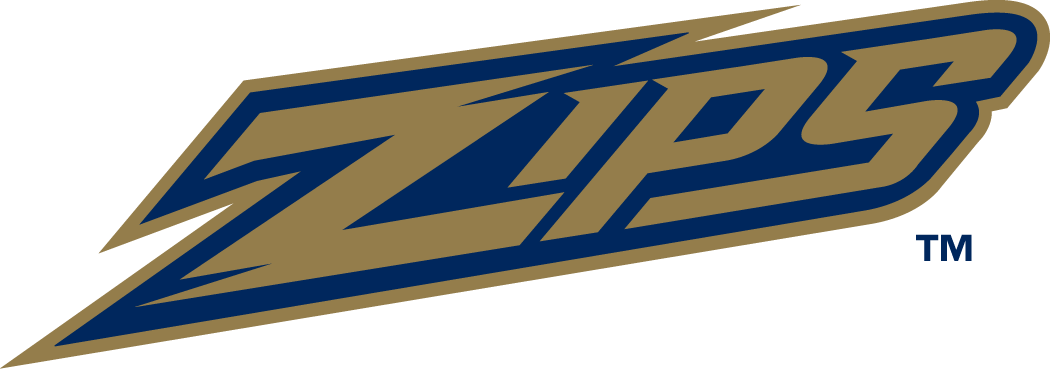 Akron Zips 2002-Pres Wordmark Logo v2 diy fabric transfer